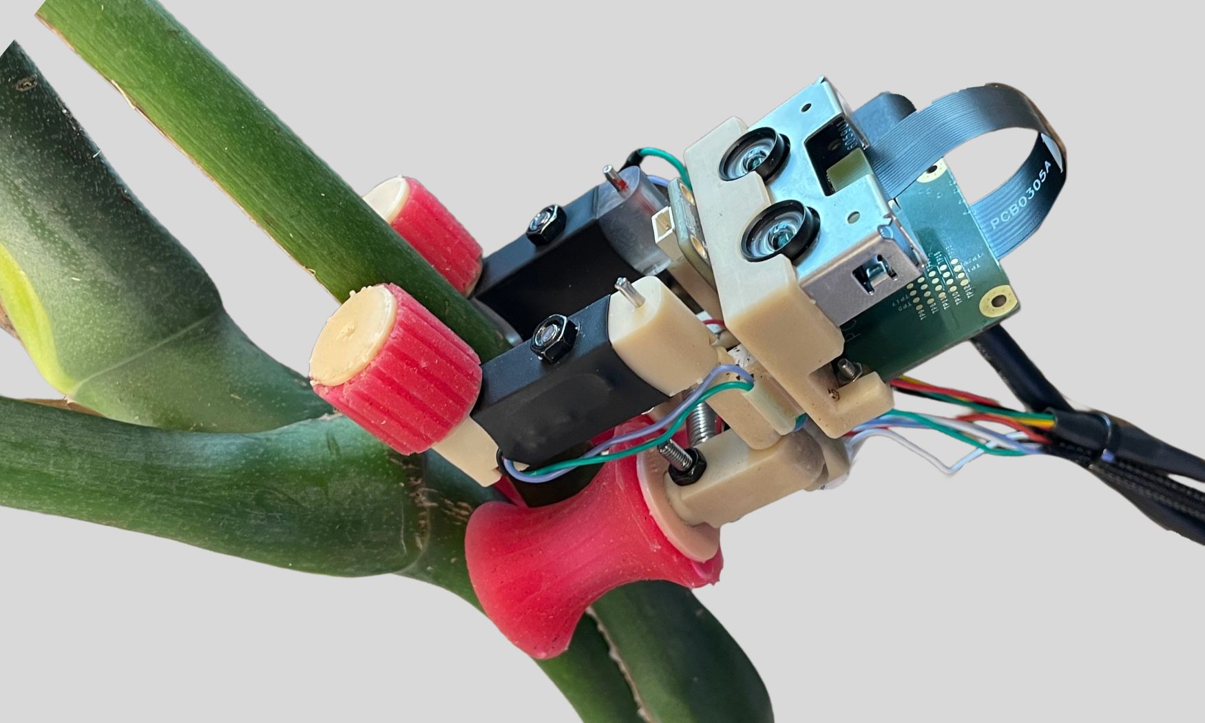STEMbot attached to a green plant stem beneath broad leaves.