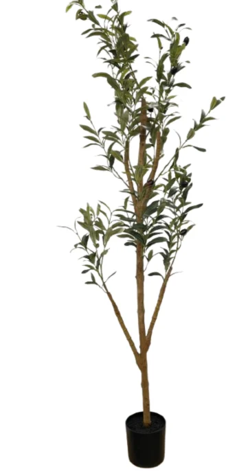Artificial Olea europaea specimen.