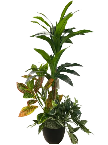 Artificial Dracaena specimen.